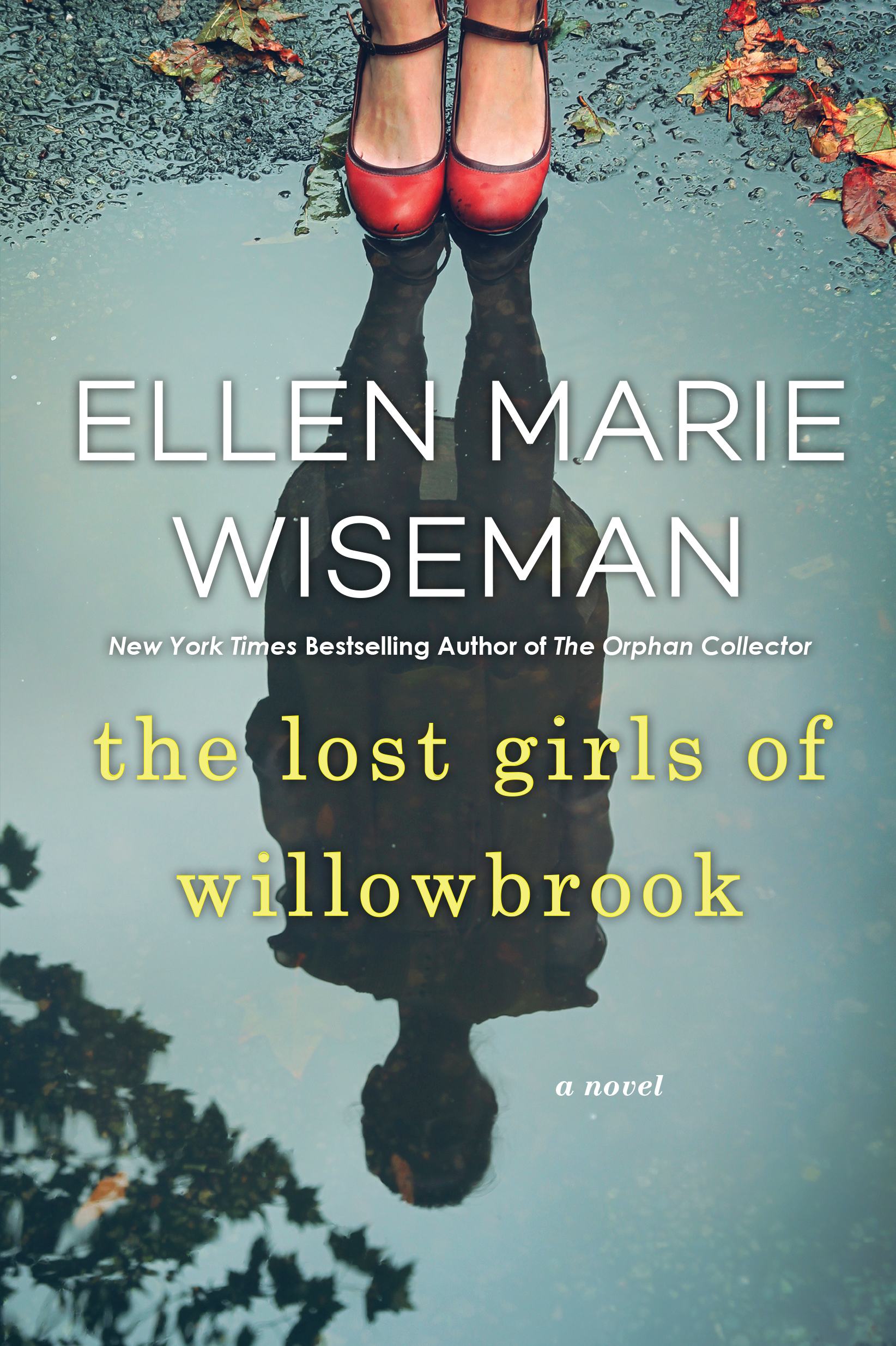 THE-LOST-GIRLS-OF-WILLOWBROOK_WISEMAN_TRD_COMP (1)